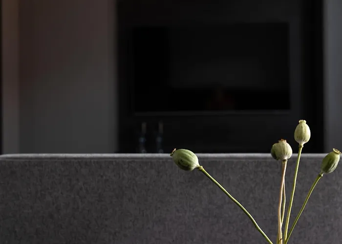 Scala By Moderna Profit- Lakowa 60e * Gdaňsk