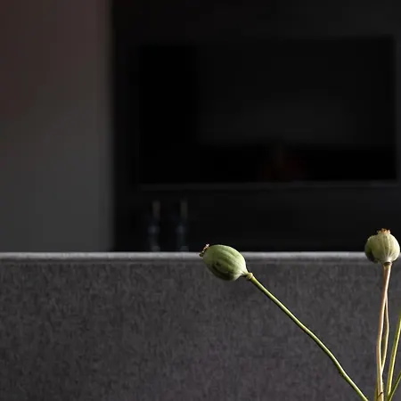 Scala By Moderna Profit- Lakowa 60e * Gdańsk